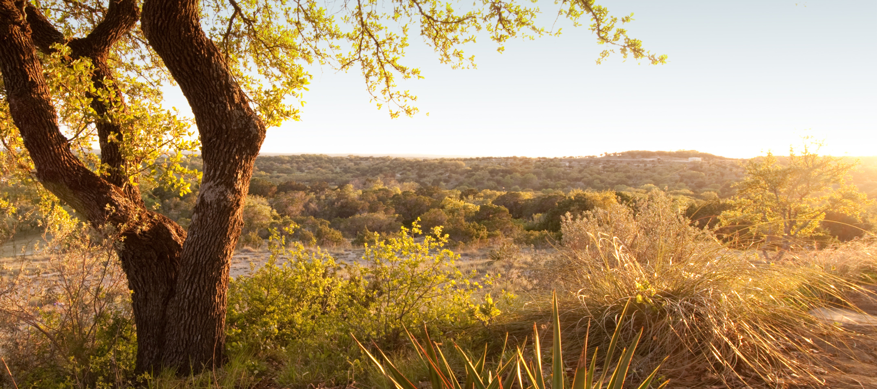 Sunset view over the Central Texas hill country landscape, representing the rural areas TR Drilling serves with professional water well and pump services.