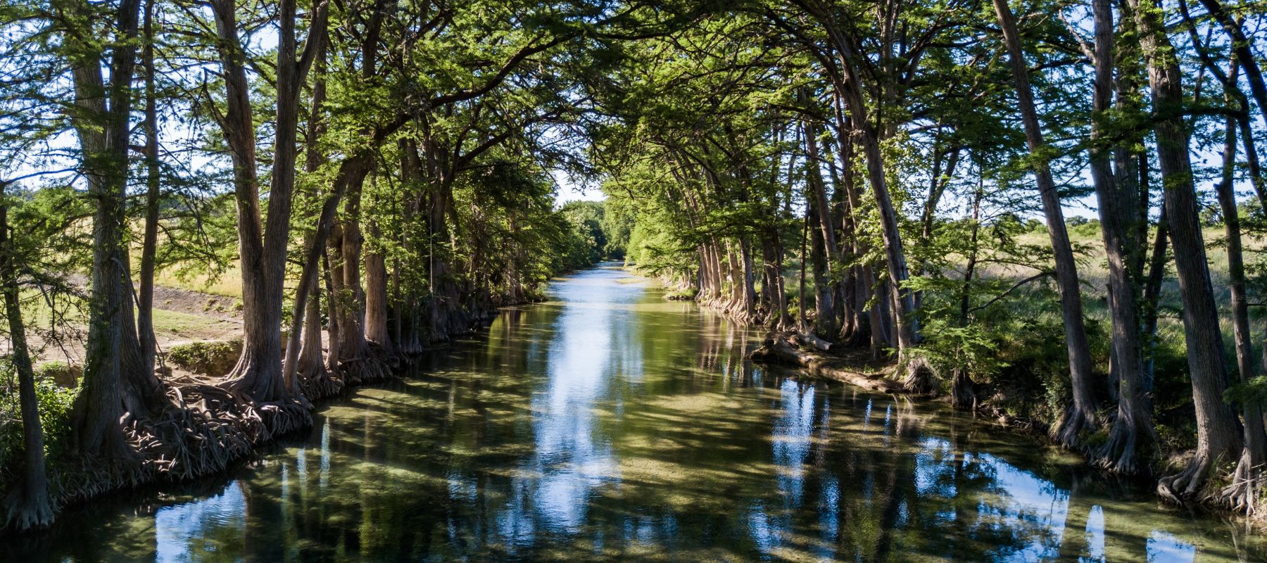 Tree-lined river with clear water and cypress trees in Medina, Texas